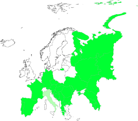 Trifolium retusum