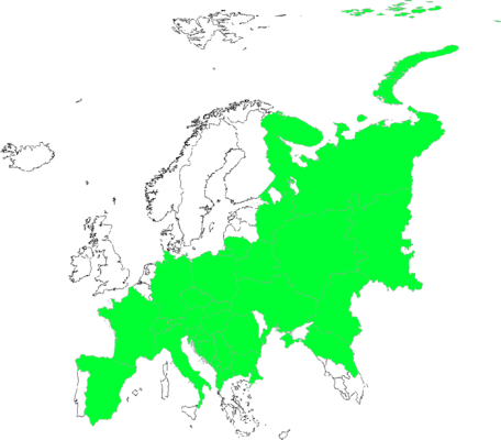 Trifolium rubens