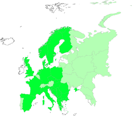 Trifolium incarnatum