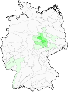 Seseli hippomarathrum