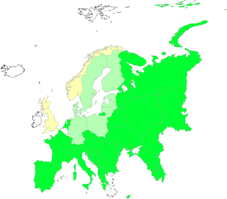 Eragrostis minor