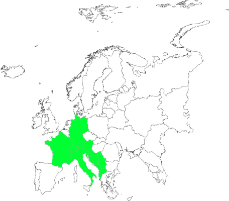 Scorzoneroides montana