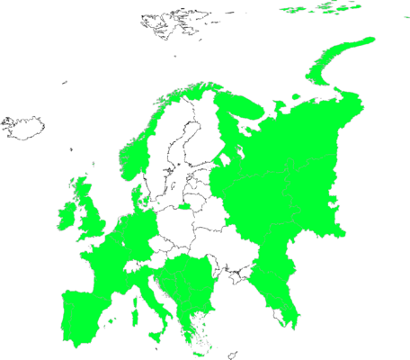 Trifolium micranthum