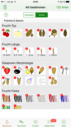 Frucht-Merkmale
