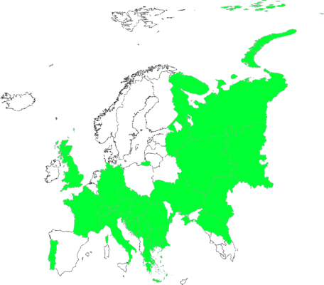 Gagea bohemica