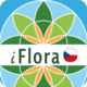 iFlora of Czechia