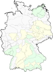 Asperula arvensis