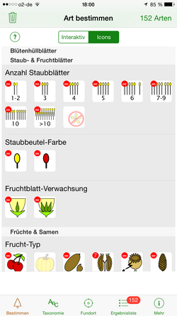 Blüten-Merkmale