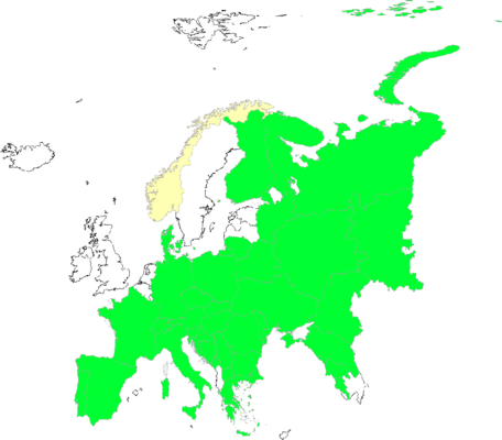 Elatine alsinastrum