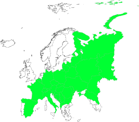 Peucedanum cervaria