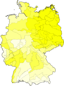 Berteroa incana