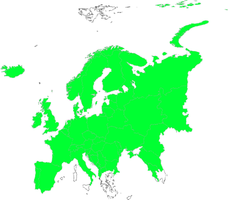 Galium boreale