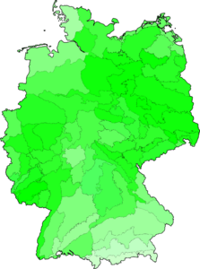 Herniaria glabra