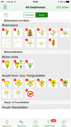 Blüten-Merkmale