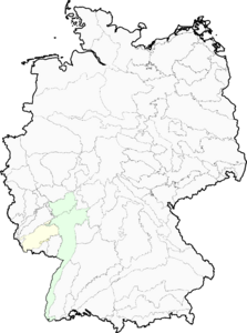 Armeria arenaria