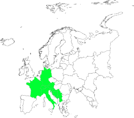 Scorzoneroides helvetica