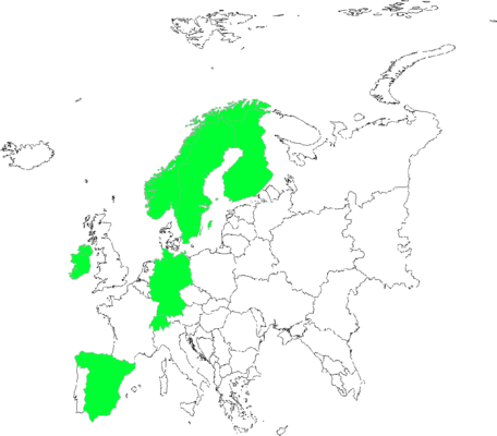 Hieracium norvegicum agg.