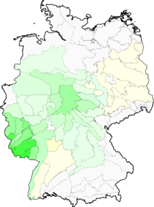 Bunium bulbocastanum