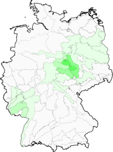 Gagea bohemica