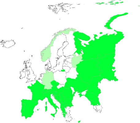 Asperula arvensis