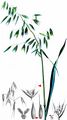 Oat - Avena sativa L.