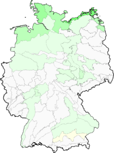 Bolboschoenus maritimus