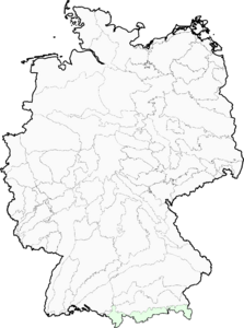 Cerastium uniflorum