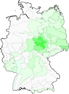 Rosa inodora