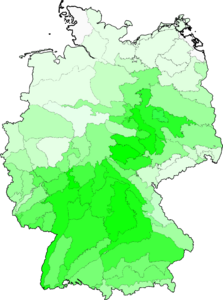 Silaum silaus