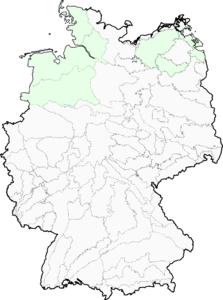 Schoenoplectus pungens