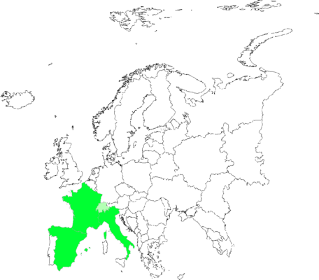 Thymus vulgaris