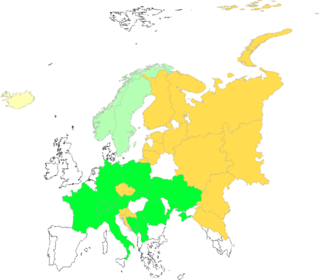 Pinus cembra