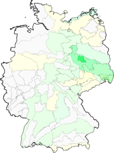 Lolium remotum