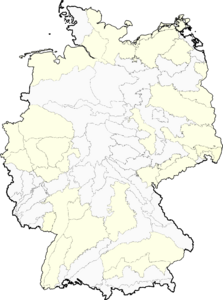 Barbarea verna