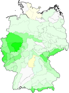 Festuca nigrescens