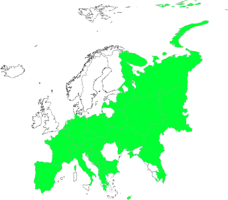 Najas minor