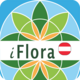iFlora of Austria