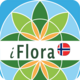 iFlora of Norway