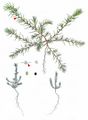 Field Polycnemum - Polycnemum arvense L.