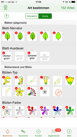 Blatt-Merkmale