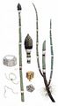 Winter-Schachtelhalm - Equisetum hyemale L.