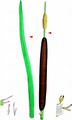 Lesser Bulrush - Typha angustifolia L.