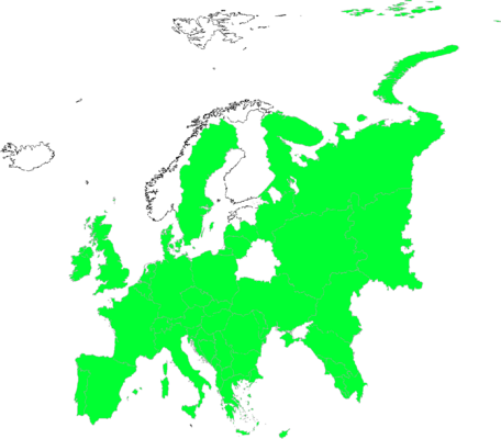 Equisetum telmateia