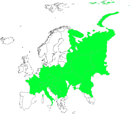 Alnus viridis