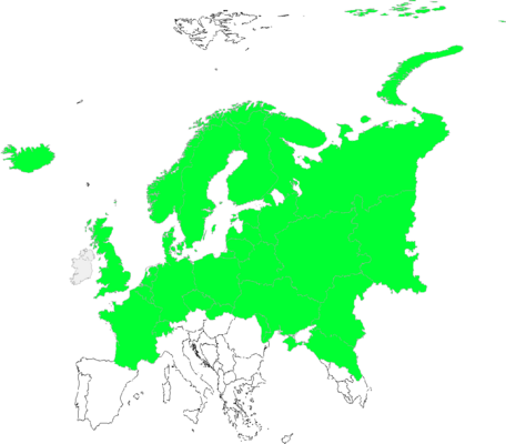 Taraxacum sect. Borea
