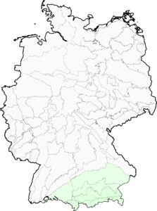 Chondrilla chondrilloides