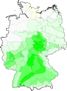 Tanacetum corymbosum