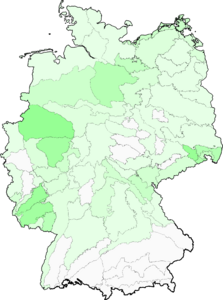 Taraxacum sect. Hamata