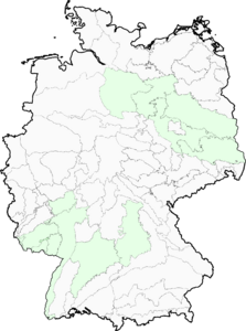 Bolboschoenus planiculmis