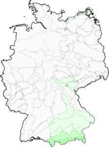 Carlina biebersteinii